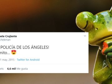 Los mejores tuits de @pachekman