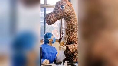 Una mujer va al médico disfrazada de jirafa para evitar el coronavirus
