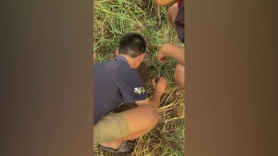 Pensó que había perdido a su perro para siempre pero escucharon un llanto bajo tierra tras horas buscando 