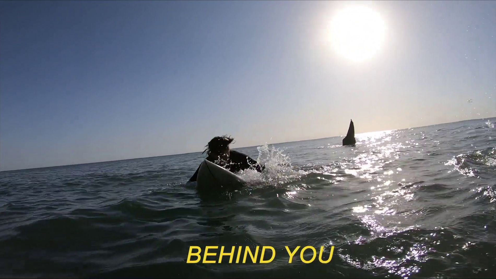 Broma pesada con un tibur&ograve;n