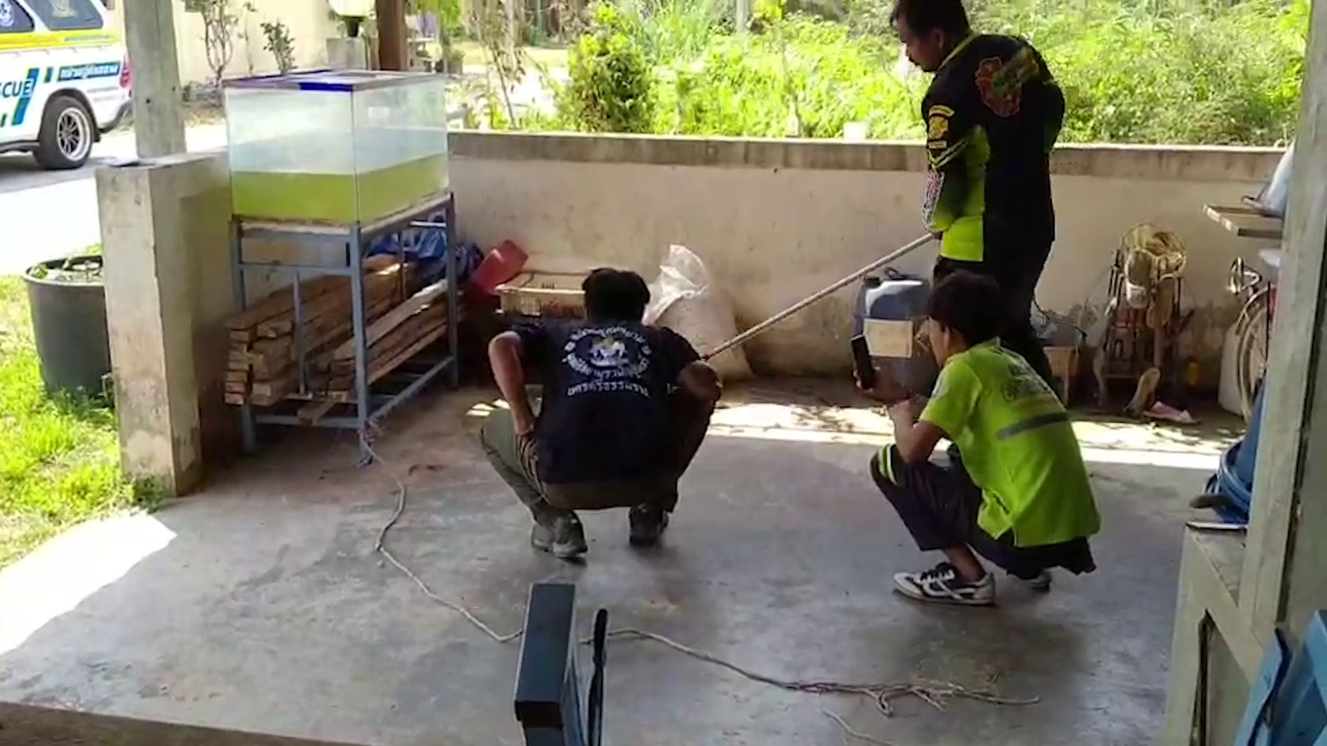 Rescatando a una serpiente