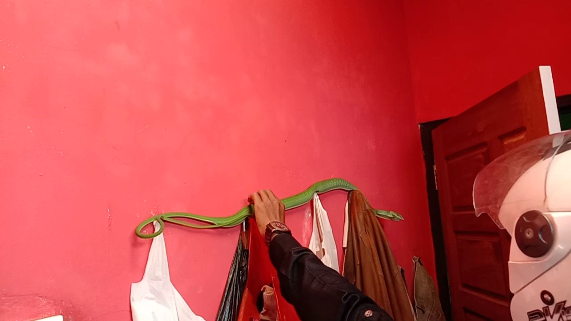 Atacado por una serpiente