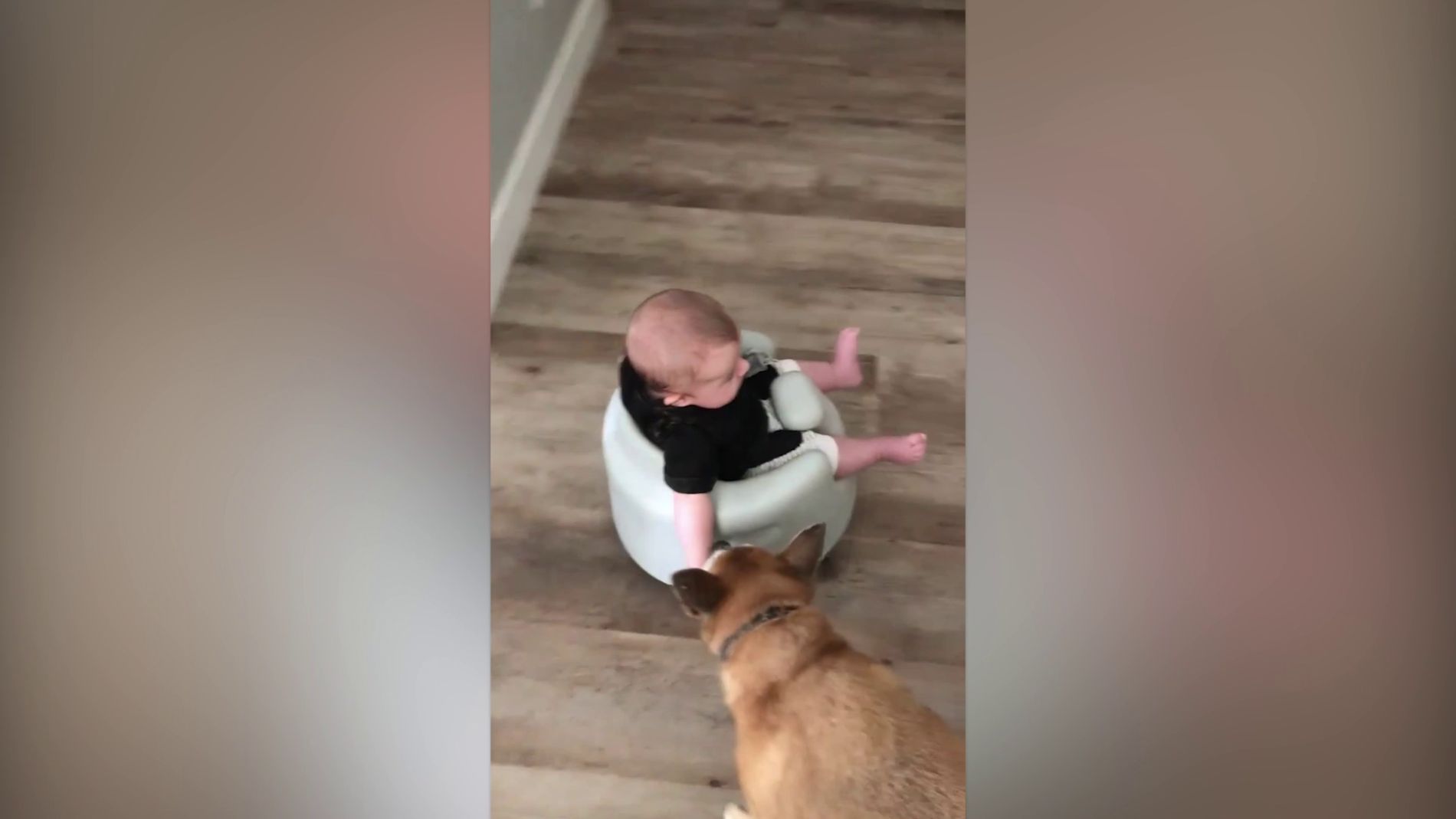 Jax, el beb&eacute; montado en el aspirador Roomba 