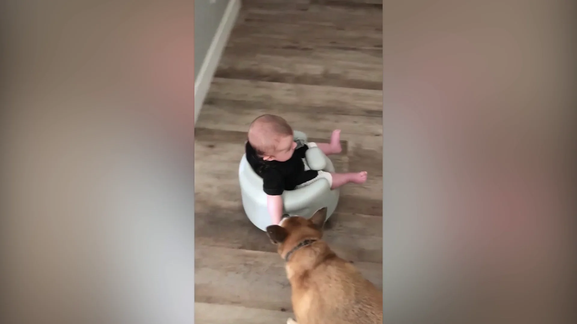 Jax, el bebé montado en el aspirador Roomba 