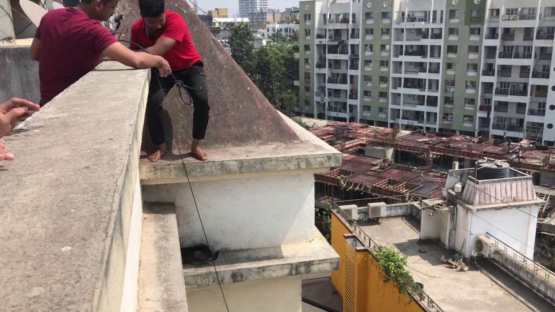 Rescatan a un perro en la India