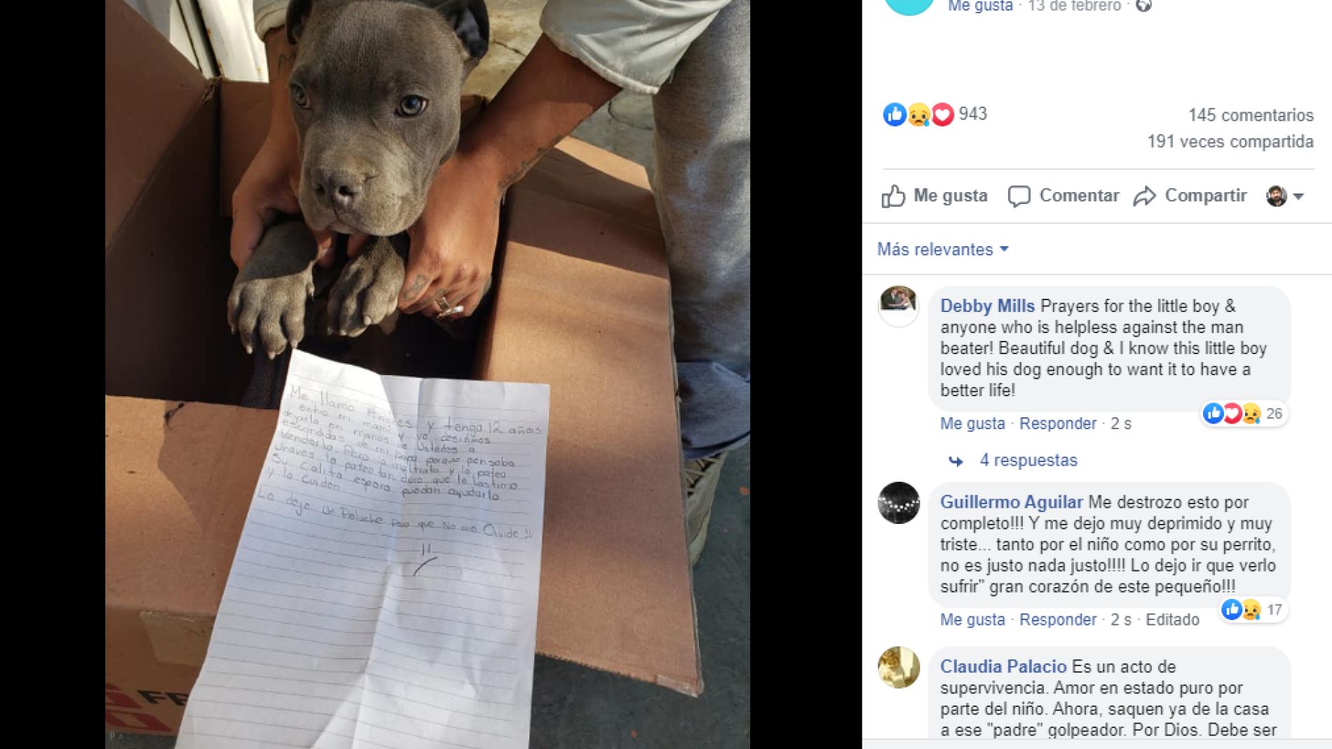 Perrito abandonado en un refugio