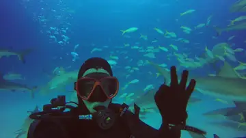 Nadando con tiburones