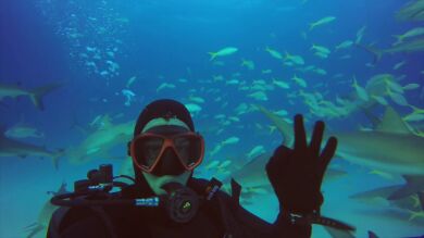 VÍDEO: Un buceador se juega la vida al nadar entre decenas de tiburones