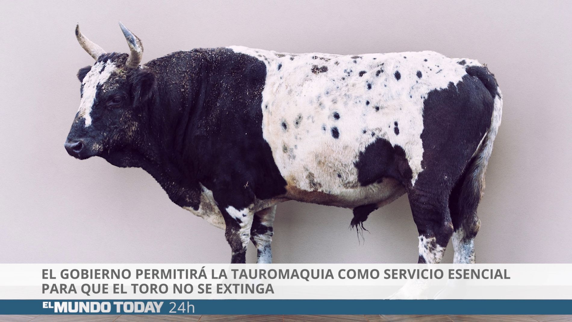La tauromaquia ser&aacute; servicio esencial