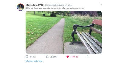 ¿Eres capaz de encontrar al perro escondido en esta foto?