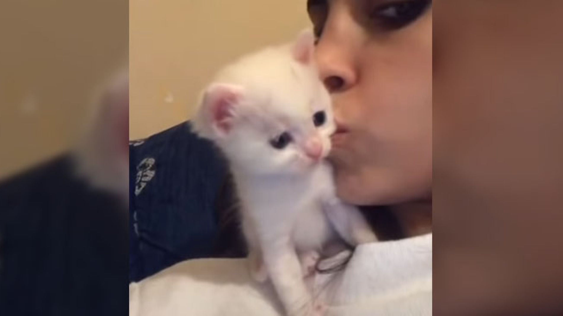 Gatito besa a su due&ntilde;a