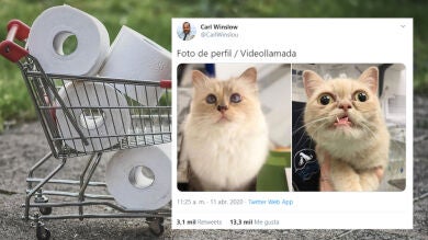 Humor contra el coronavirus: Los mejores memes de la cuarta semana de cuarentena