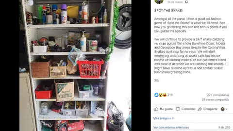 Facebook de SunshineCoastSnakeCatchers Facebook de SunshineCoastSnakeCatchers