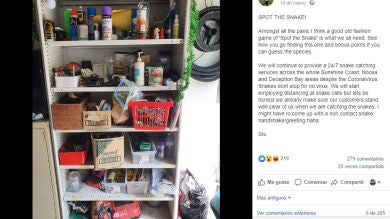 ¿Eres capaz de encontrar a la serpiente escondida en esta estantería?