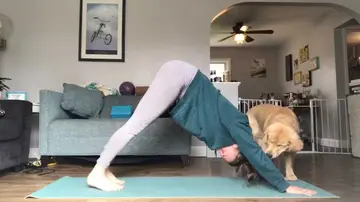 Perro interrumpe sesión de yoga