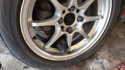 Perro rescatado Perro rescatado