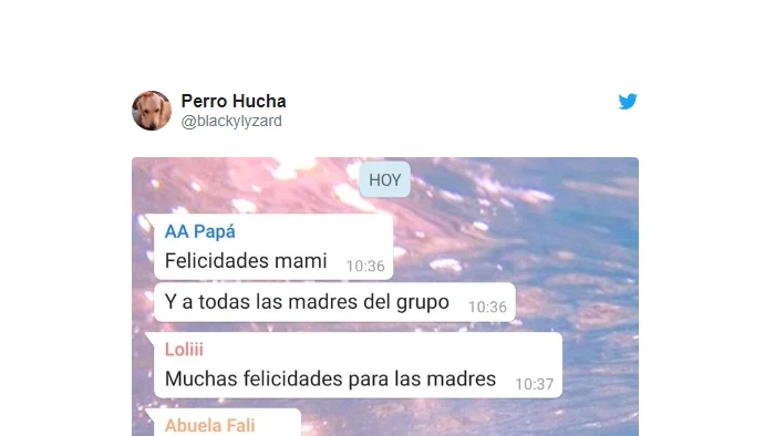 Tuit de @blackylyzard