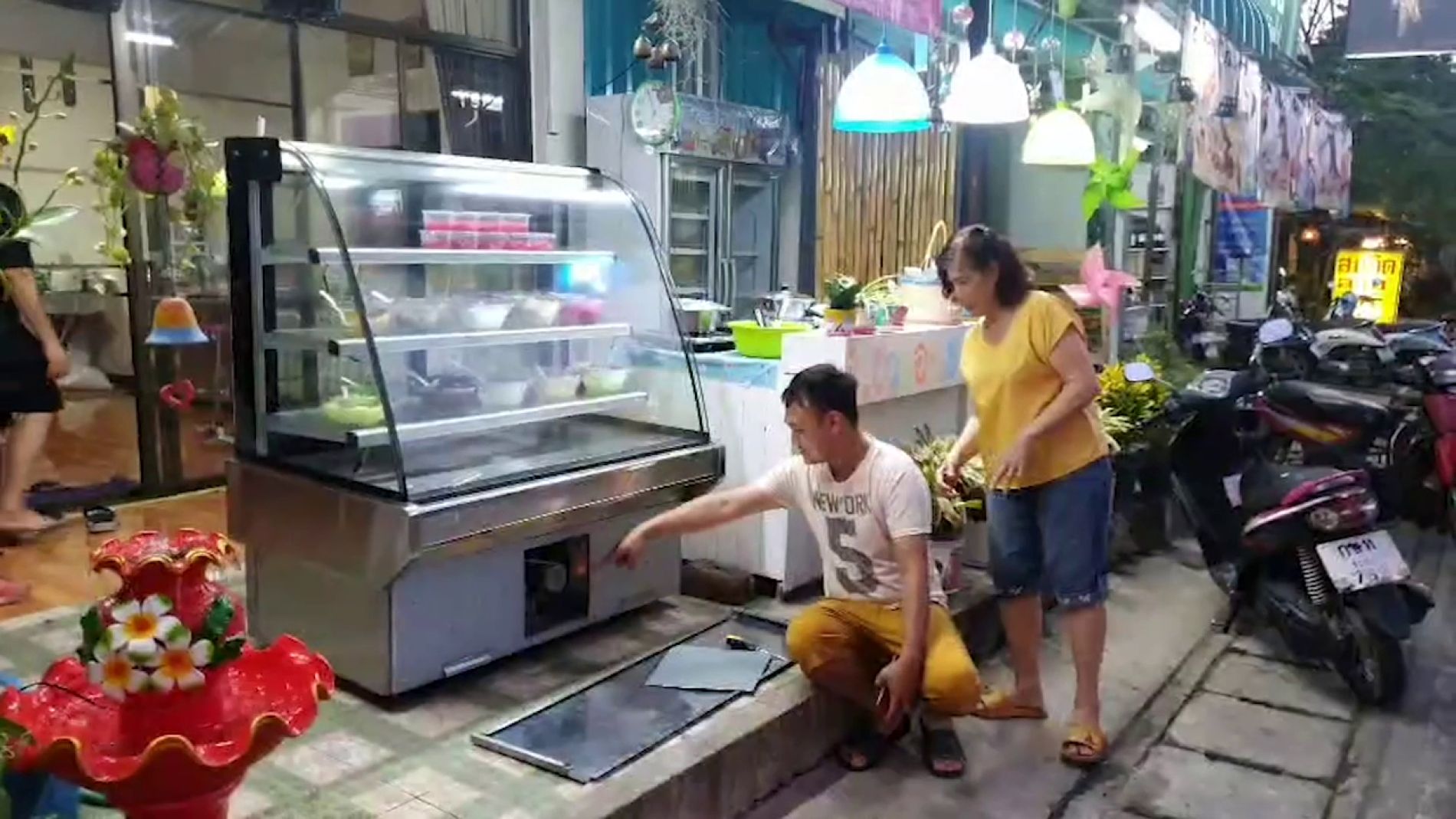 Lagarto en una nevera