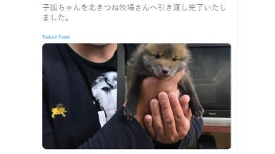 Recogió a un cachorro de la calle y cuando compartió las fotos en Twitter le avisaron de que no era un perro