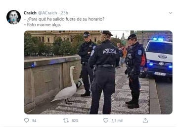Tuit de @acraich