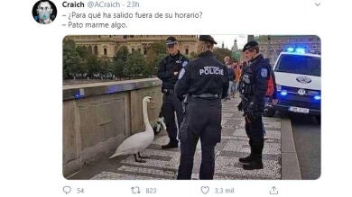 El meme de un ganso interrogado por la policía inunda Twitter