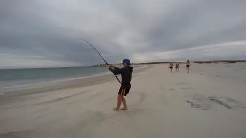 Pescando un tiburón Pescando un tiburón