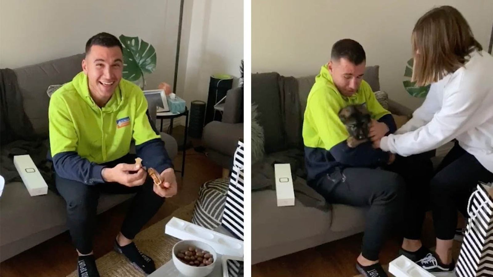 VÍDEO: Le dan una sorpresa regalándole un cachorro por su 25 cumpleaños