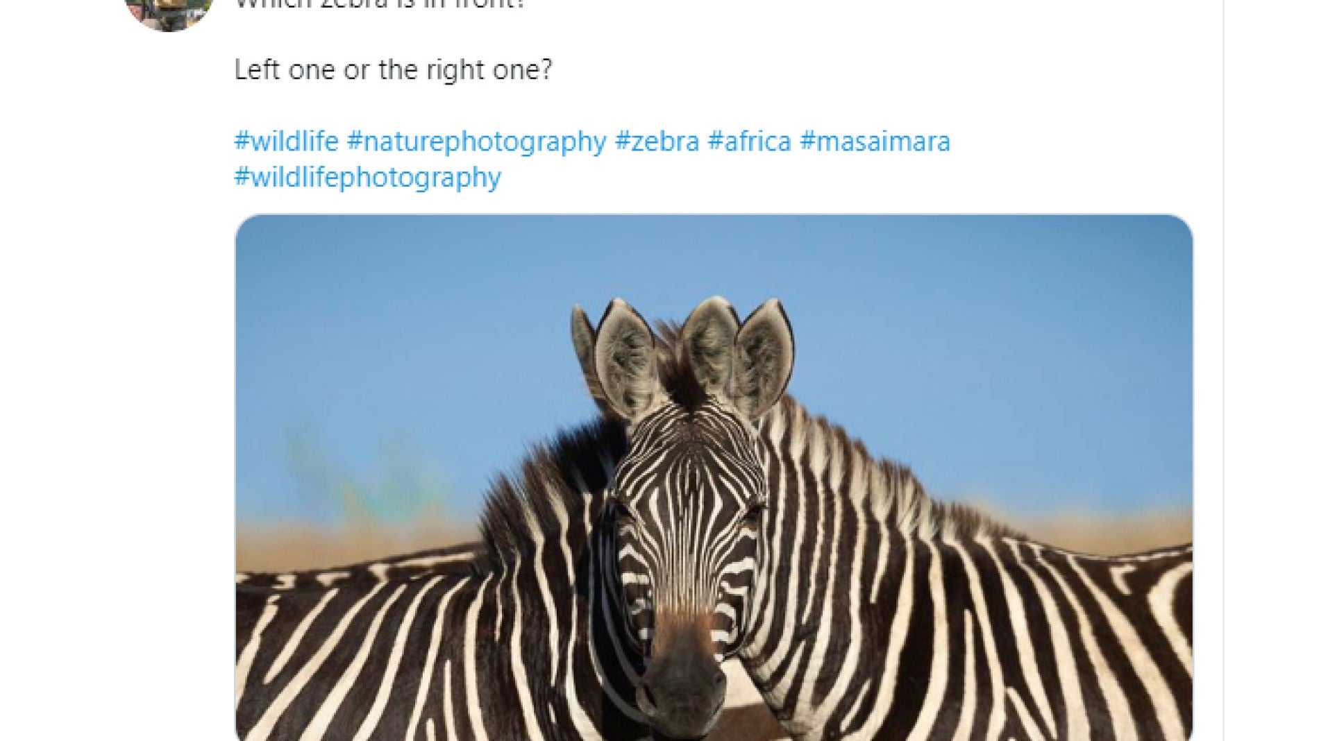 Tuit de @saroshlodhi