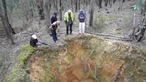 Canguro atrapado Canguro atrapado