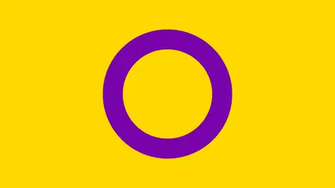 Bandera Intersexual Bandera Intersexual