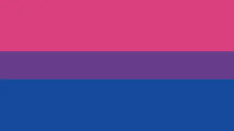 Bandera Bisexual Bandera Bisexual