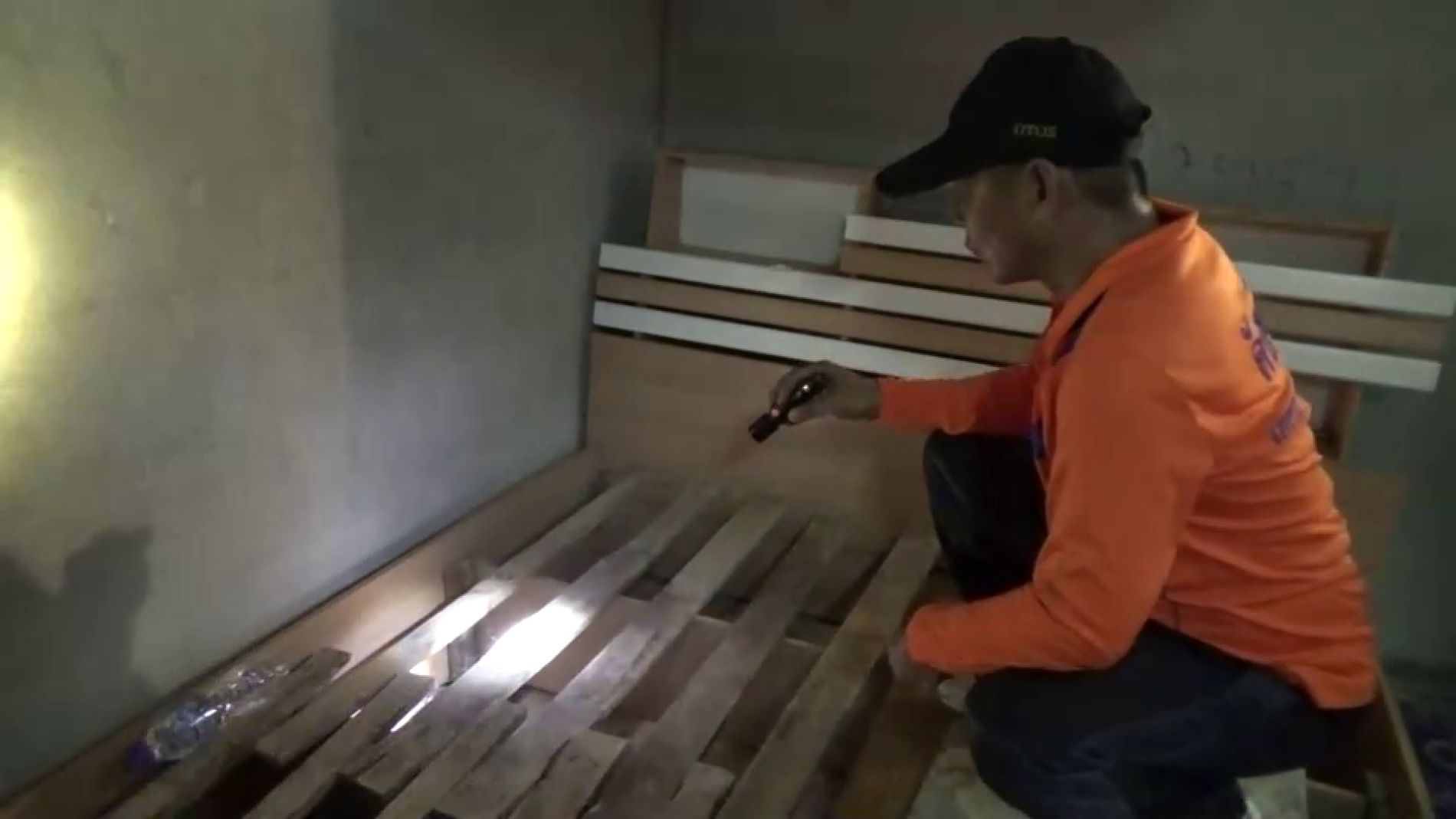 Serpiente bajo la cama