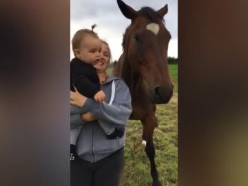VÍDEO: Acerca a su bebé a un caballo y le vomita en la cara