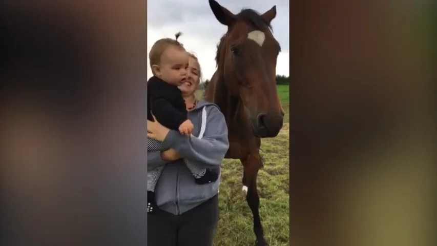 VÍDEO: Acerca a su bebé a un caballo y le vomita en la cara