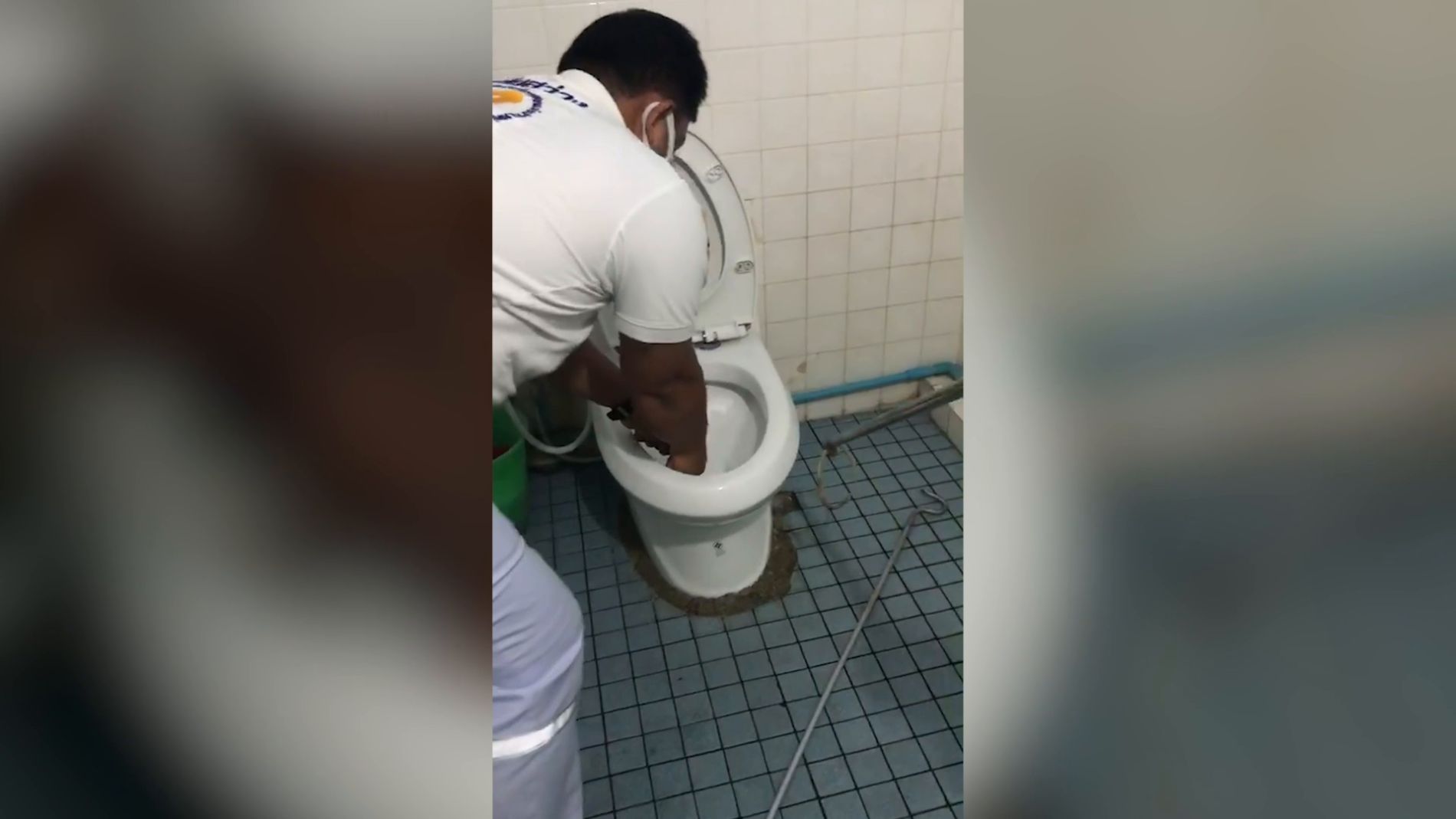 Una serpiente en el v&aacute;ter