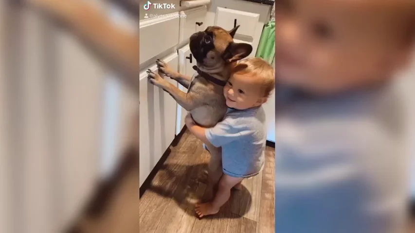 VÍDEO: La adorable relación de este niño con sus dos perros está derritiendo corazones 