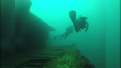 Aparece una enorme ballena mientras exploraban un naufragio Aparece una enorme ballena mientras exploraban un naufragio