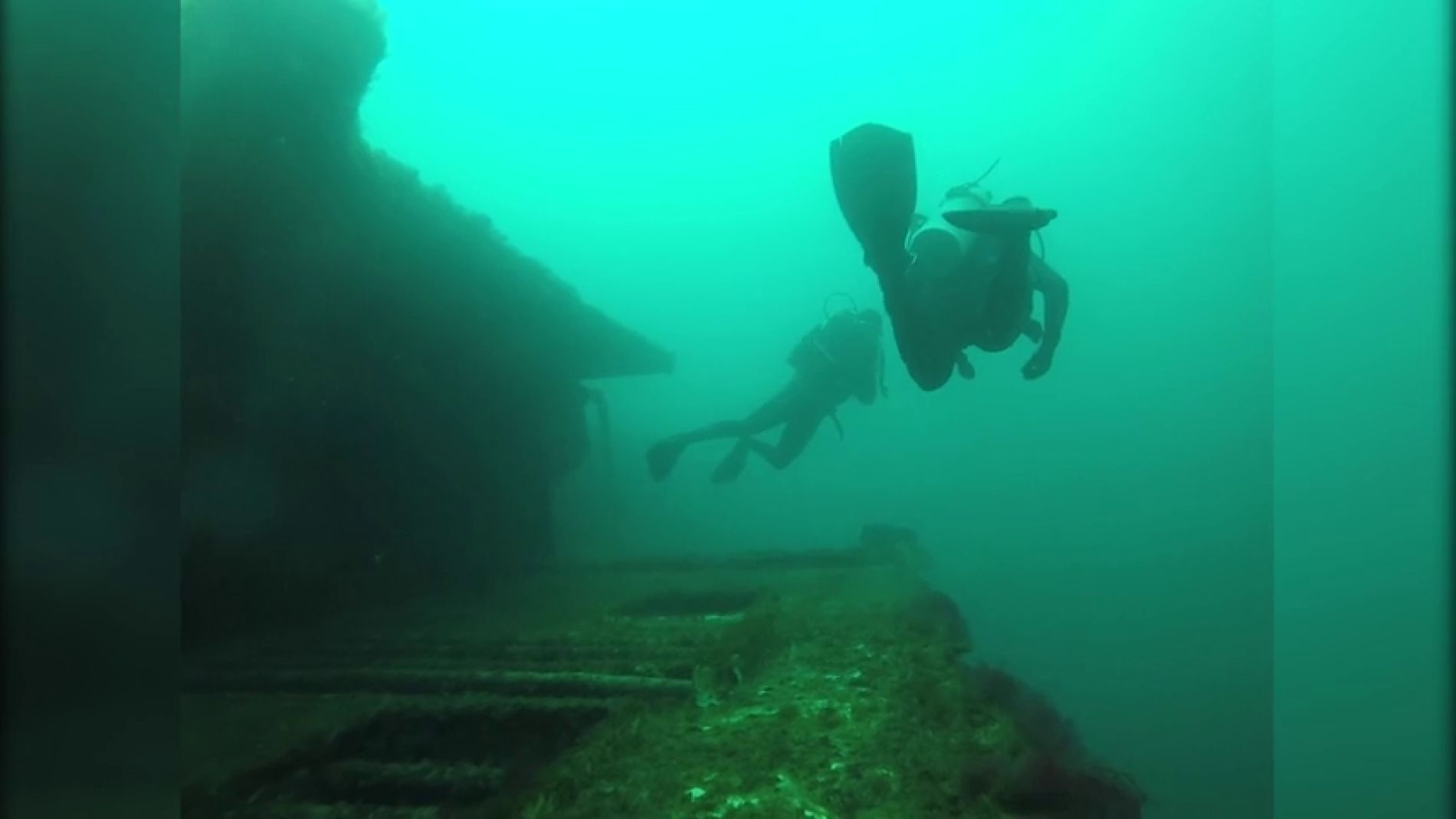 Aparece una enorme ballena mientras exploraban un naufragio 