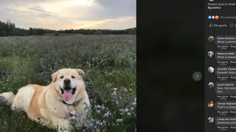 Facebook This is Kai Facebook This is Kai