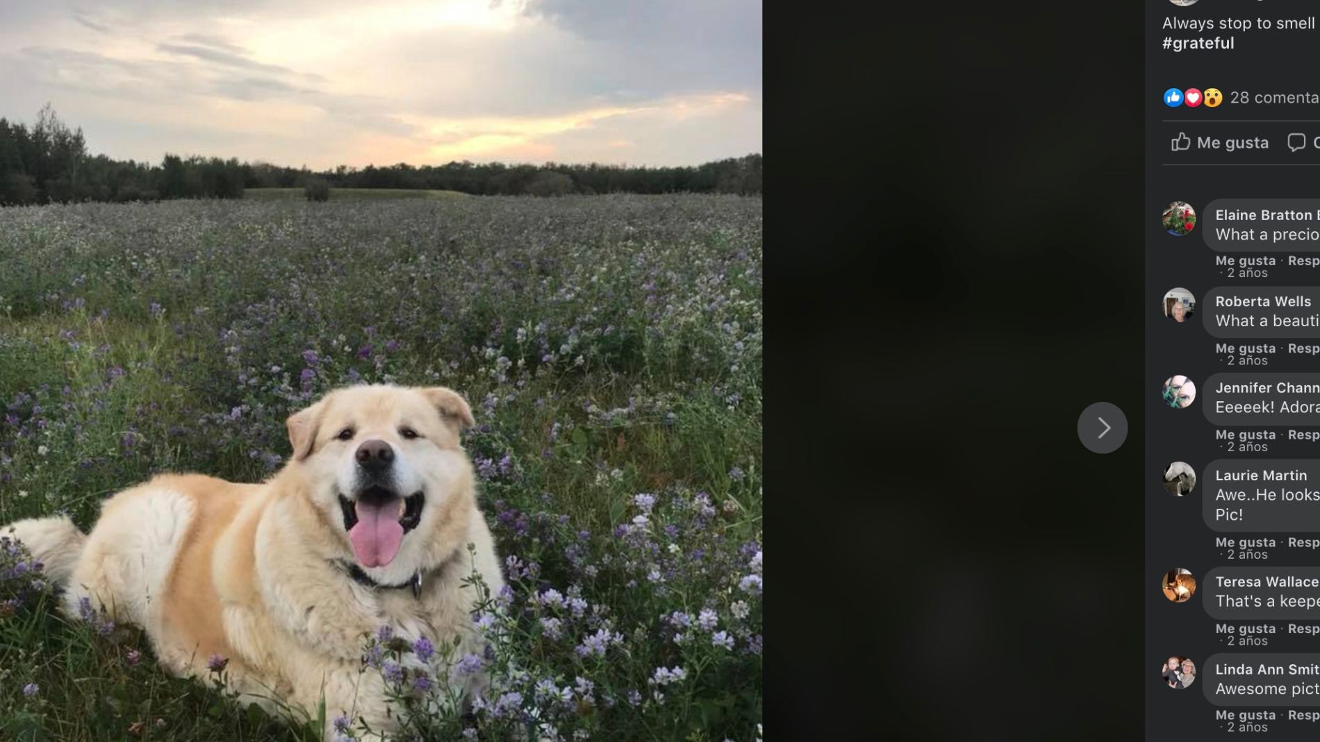 Facebook This is Kai