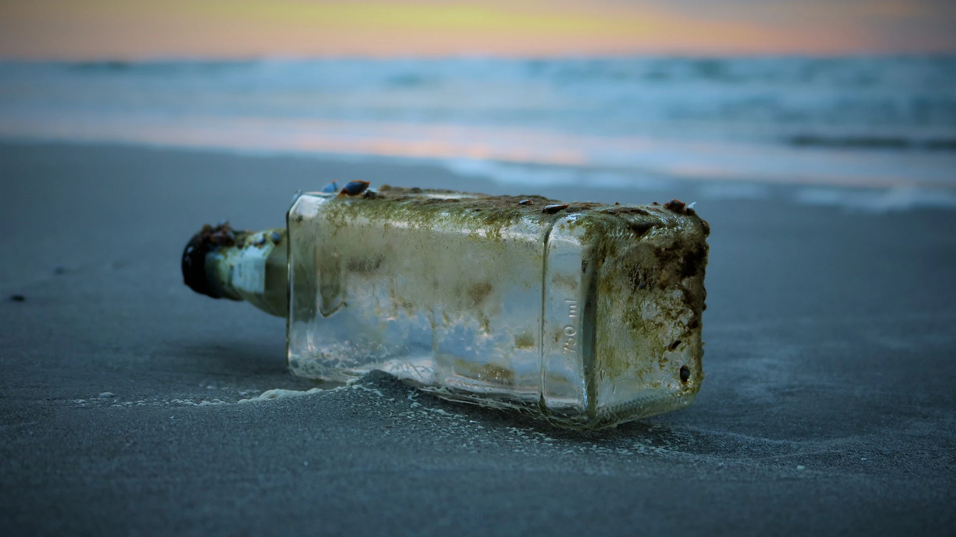 Botella en el agua