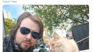 Mittens, el famoso gato omnipresente que está en la carrera para ser el “neozelandés del año”. 