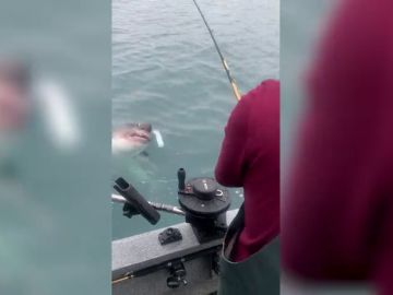 VÍDEO: Estaban pescando arenque en Alaska y casi les muerde un tiburón