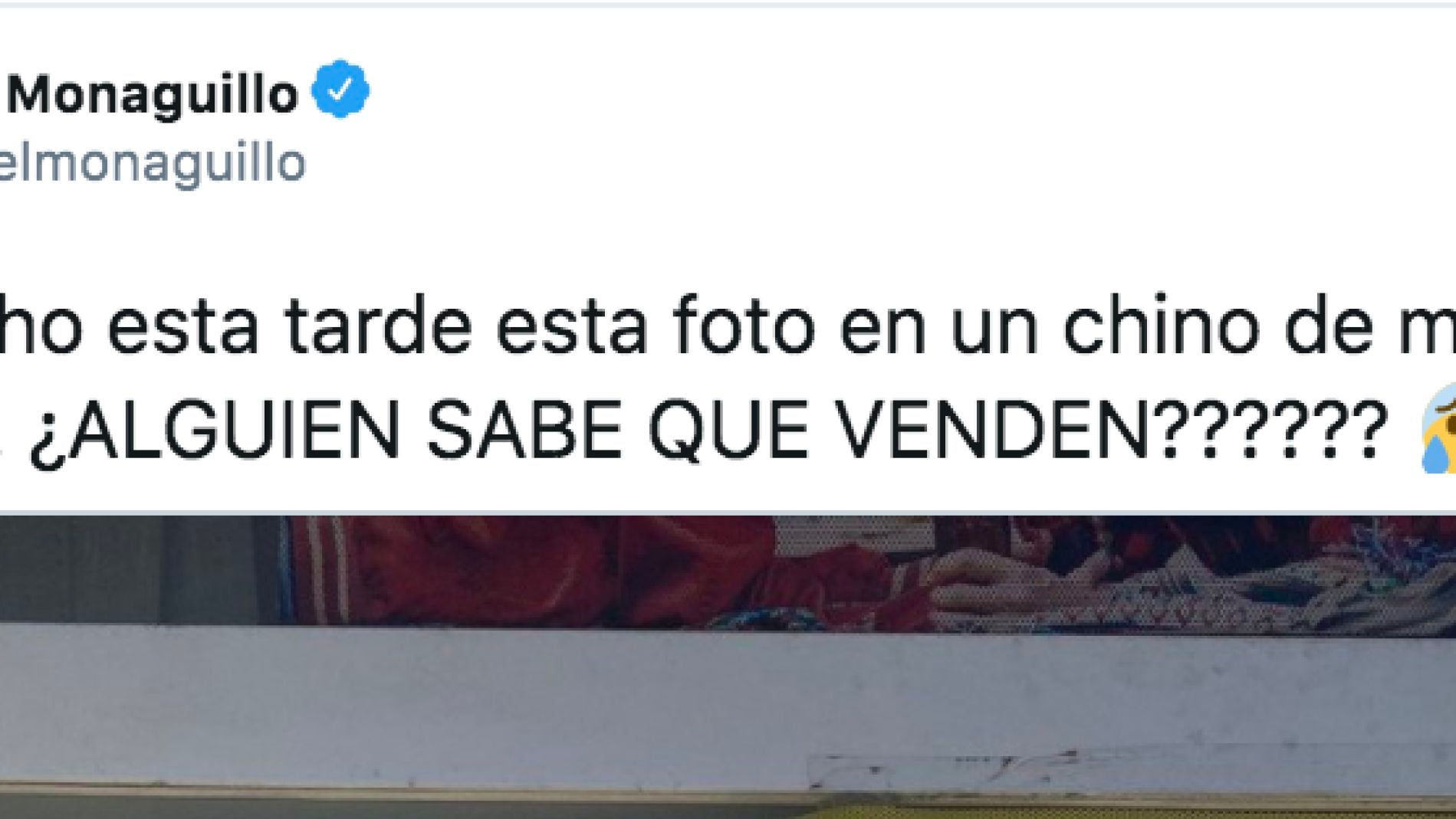 Twitter de @elmonaguillo
