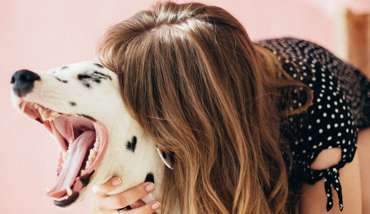 Vestir a conjunto con tu perro es posible