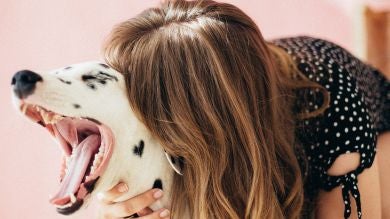 Shein crea ropa para perros para que dueños y mascotas vayan conjuntados 