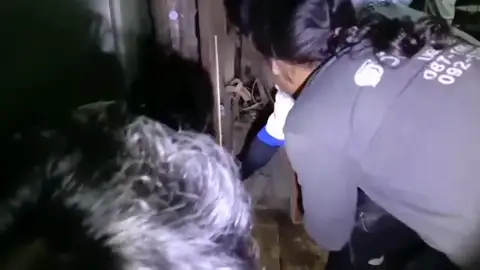 VÍDEO: Encuentran una gigantesca pitón escondida dentro del dormitorio de una mujer en Tailandia VÍDEO: Encuentran una gigantesca pitón escondida dentro del dormitorio de una mujer en Tailandia