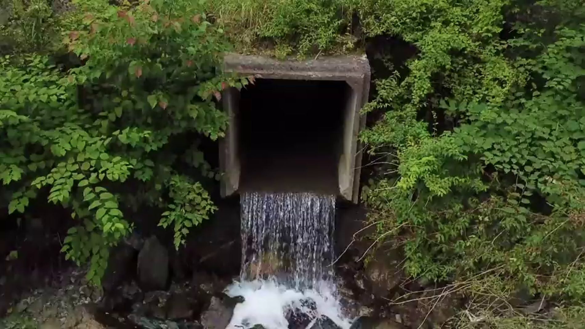Visita un peque&ntilde;o pueblo en Jap&oacute;n y se lleva un gran susto al descubrir quienes son sus terror&iacute;ficos habitantes