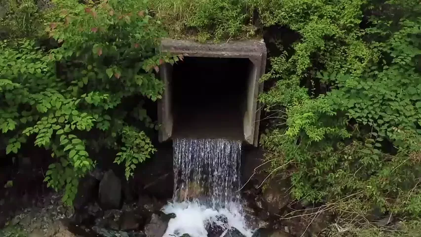 Visita un pequeño pueblo en Japón y se lleva un gran susto al descubrir quienes son sus terroríficos habitantes