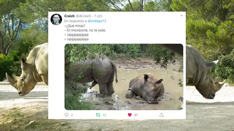 Tuit de @acraich Tuit de @acraich